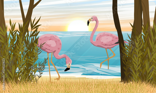 Pair of pink flamingos on the ocean. Birds of Africa and South America. Anser caerulescens. Realistic vector landscape