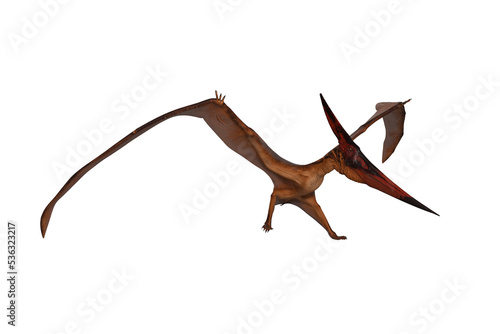 Pterandodon dinosaur landing with one foot on the ground. 3D illustration isolated. © IG Digital Arts