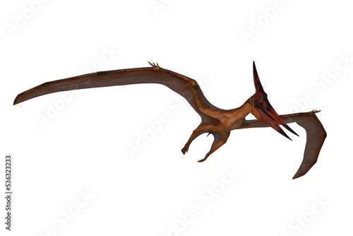 Pterandodon dinosaur in flight hunting. 3D illustration isolated. © IG Digital Arts