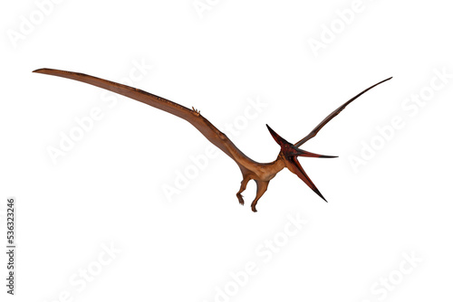 Pterandodon dinosaur in flight with beak wide open. 3D illustration isolated. © IG Digital Arts