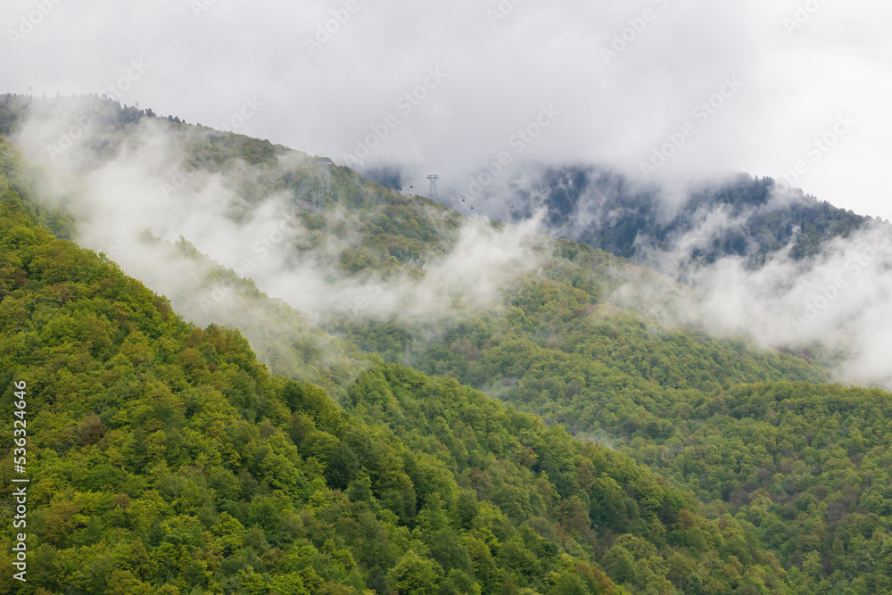 Spring green mountains in clouds and fog. The concept is to be above the clouds.