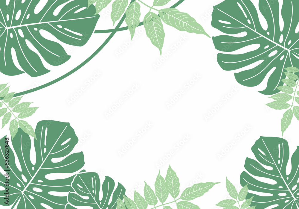 Tropics. Floral background of tropical green leaves of monstera, acacia and vines. Vector illustration isolated on white background. Frame, template for postcards, invitations and congratulations.