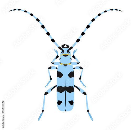 Alpine barbel beetle, Rosalia alpina. Blue beetle vector illustration with long whiskers isolated on white background.