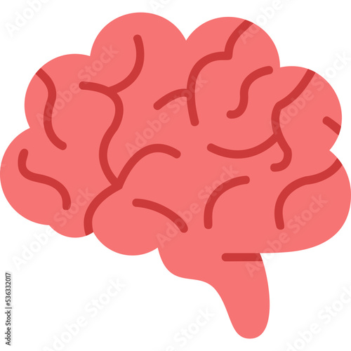 Brain Icon