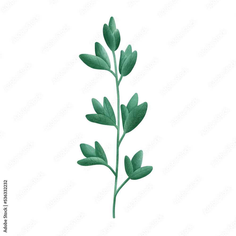 Fototapeta premium leaf