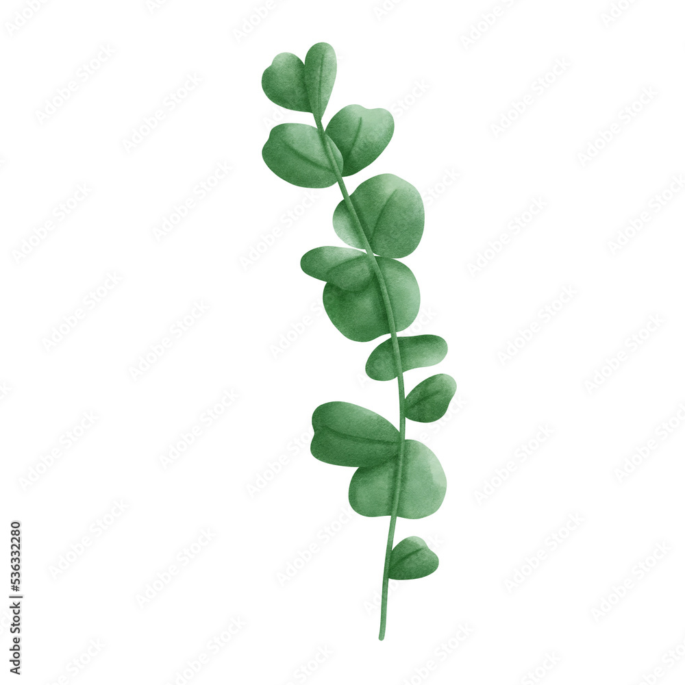 leaf leaf
