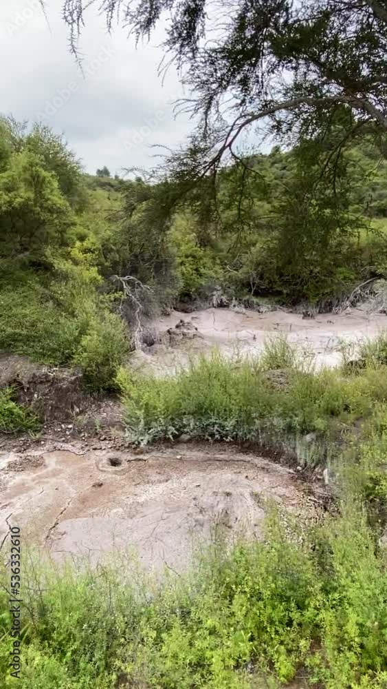 Boue chaude à Whakarewarewa - Nouvelle Zélande Boue chaude à Whakarewarewa - Nouvelle Zélande