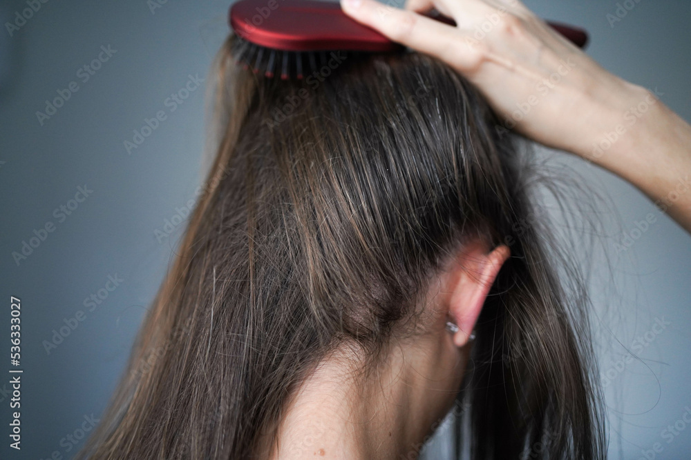 Fototapeta premium A woman combs her hair. Gray hairs on the head of a young girl. Long gray hair. The initial stage of gray hair. The problem of gray hair in women.