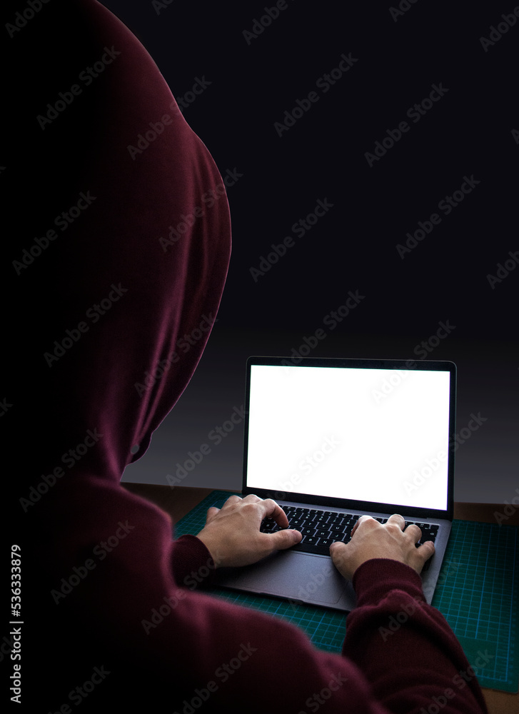Naklejka premium Person using laptop