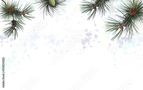 pine branches in snow  christmas background