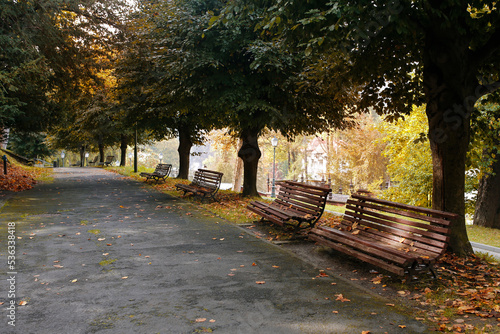 path with wooden benches in the autumn park