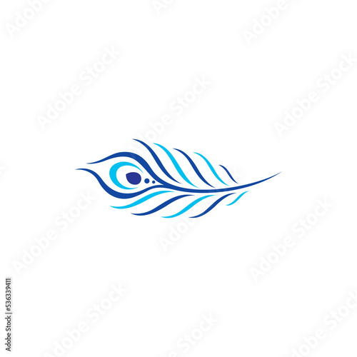 Peacock Feathers Vector Logo Design