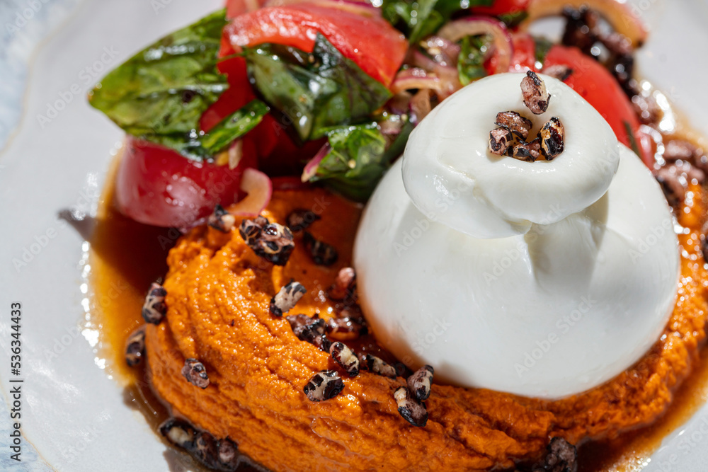 Fototapeta premium Buffalo mozzarella with salad