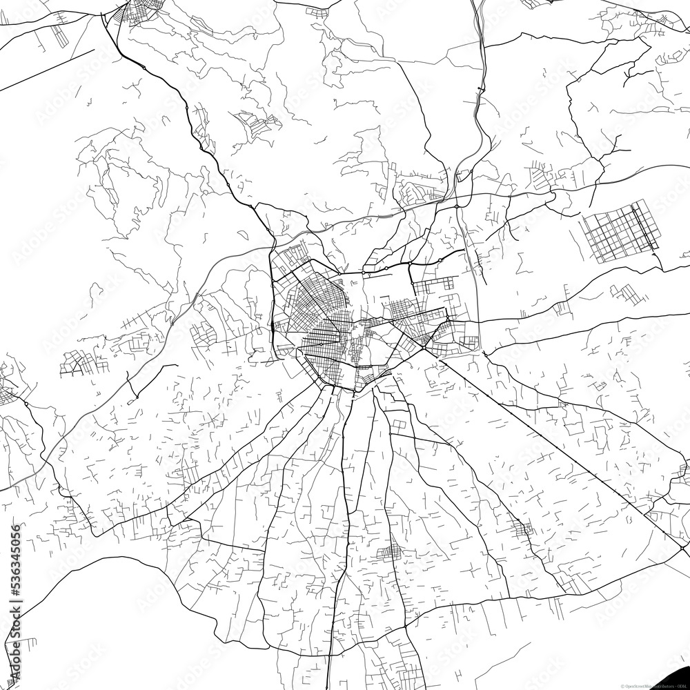 Fototapeta premium Area map of Elche Spain with white background and black roads