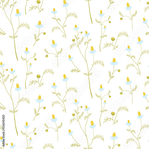 Seamless pattern with field daisies on a white background in flat style. Small flowers.
