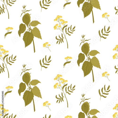 Floral pattern on a white background with flowering nettle and tansy