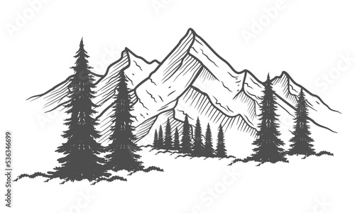 hand drawn mountain design. illustration of mountains and pine trees. 