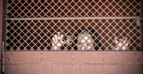 Close up of a mature businesswoman in prison cell photo