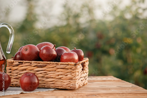 Fresh ripe red apples in the basket on wooden table with natural orchard background. Vegetarian fruit composition. Harvesting concept