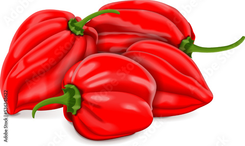 Group of Red habanero chili peppers. Capsicum chinense. Heat chili pepper. Fresh organic vegetables. Vector illustration isolated on white background.
