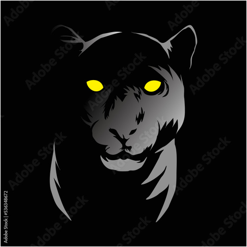 panther and black background
