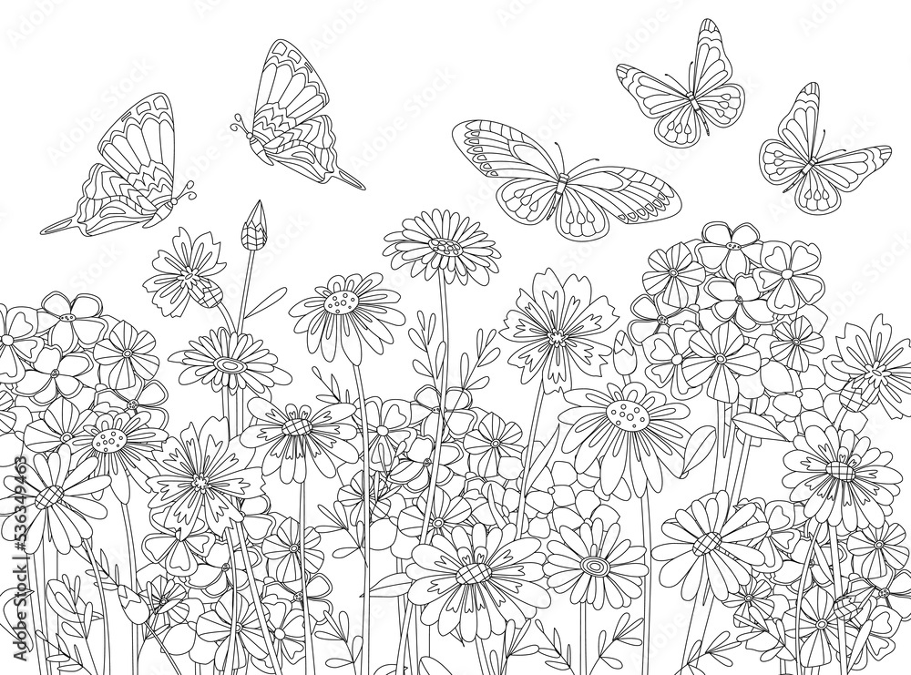 Fototapeta premium Coloring book with a meadow of rural flowers and fluttering butt