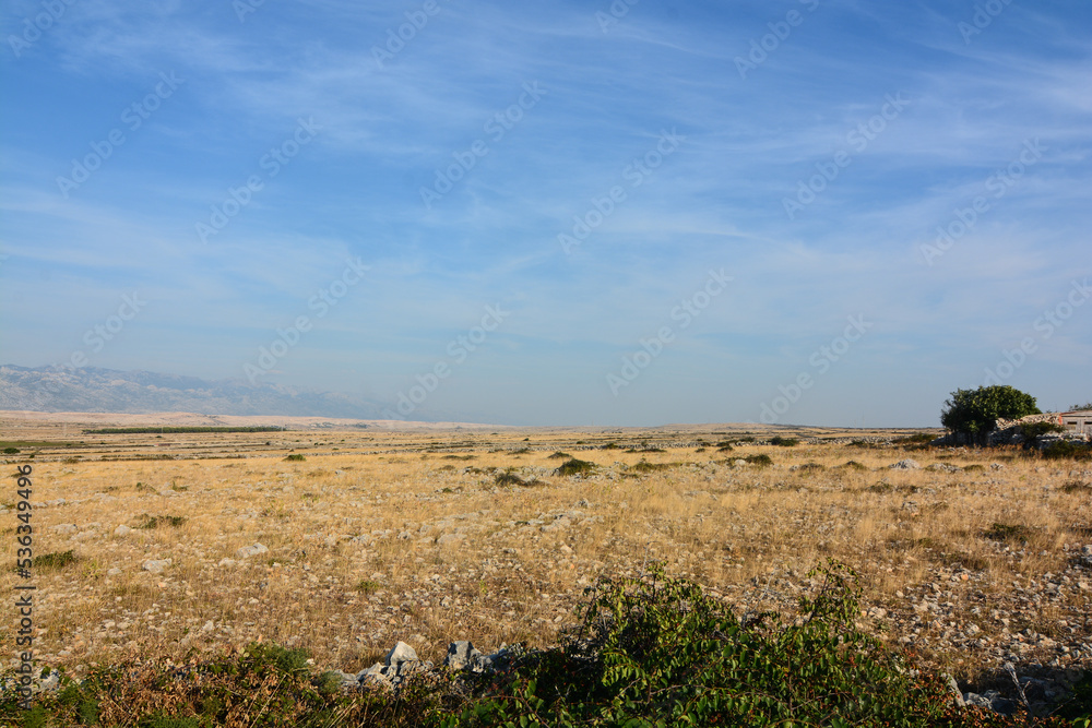 costa arida vicino alle saline nei pressi di Pag capoluogo dell'omonina isola della Croazia costa arida vicino alle saline nei pressi di Pag capoluogo dell'omonina isola della Croazia