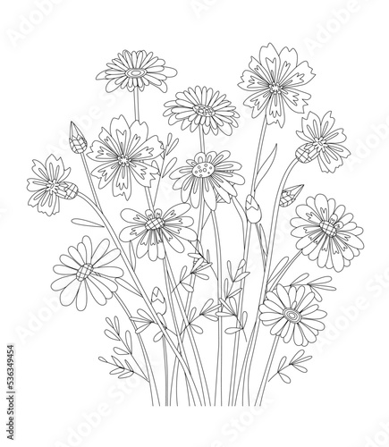 Coloring book with a bunch of meadow flowers. Daisy and carnatio