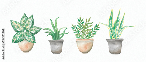 Watercolor plants on pots hand drawn