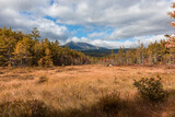 Baxter Peak from Tote Road in Maine with brilliant fall foliage on a mostly cloudy day