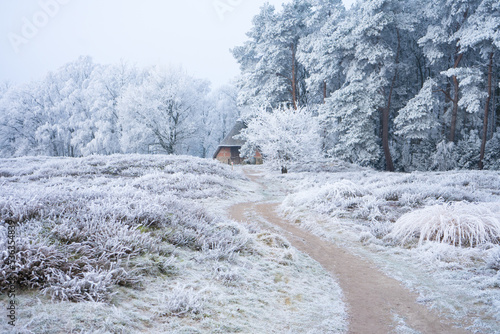 Pestruper Gräberfeld in Winterlandschaft photo