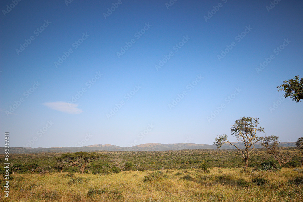 Mkhuze Game Reserve landscape, Northern Zululand, South Africa