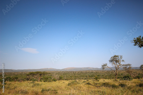 Mkhuze Game Reserve landscape  Northern Zululand  South Africa