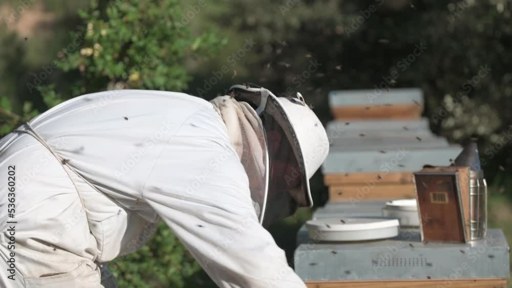 Beekeepers weared a protection suite checking a hive full of bees. Beekeepers weared a protection suite checking a hive full of bees.
