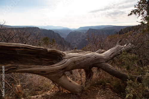Black Canyon of the Gunnison National Park in Colorado.