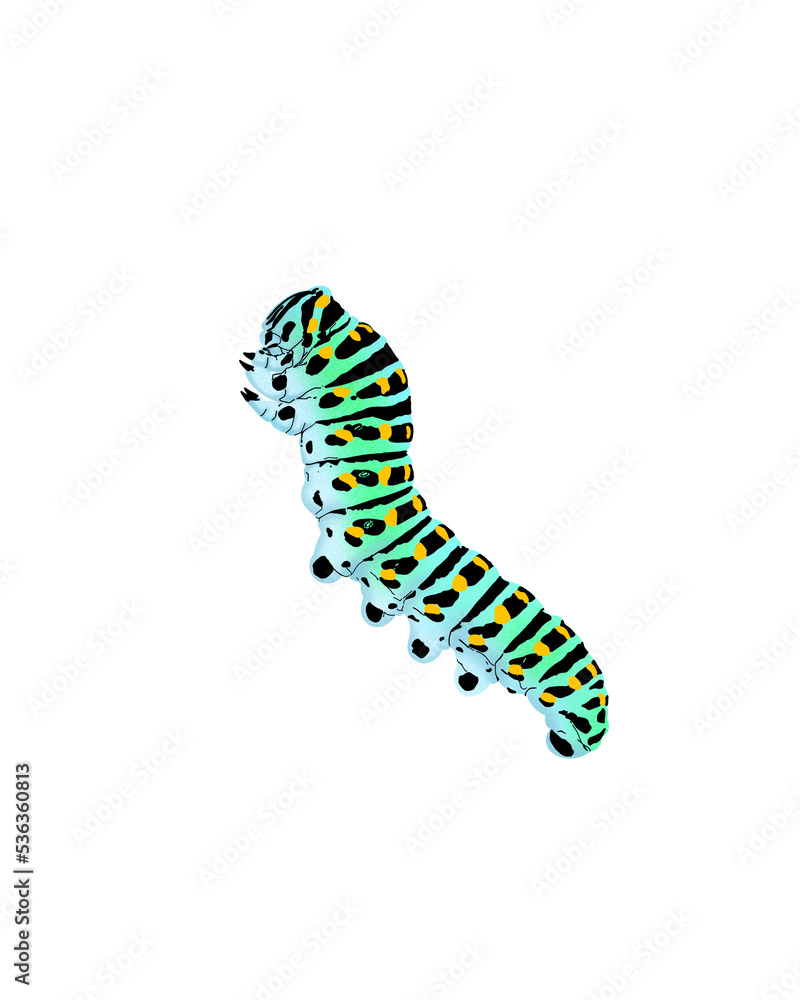 caterpillar - obrazy, fototapety, plakaty 