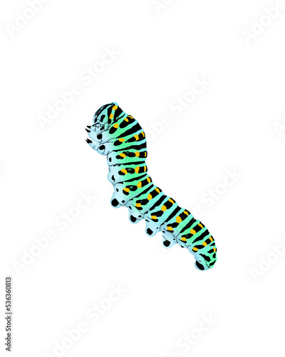 caterpillar photo