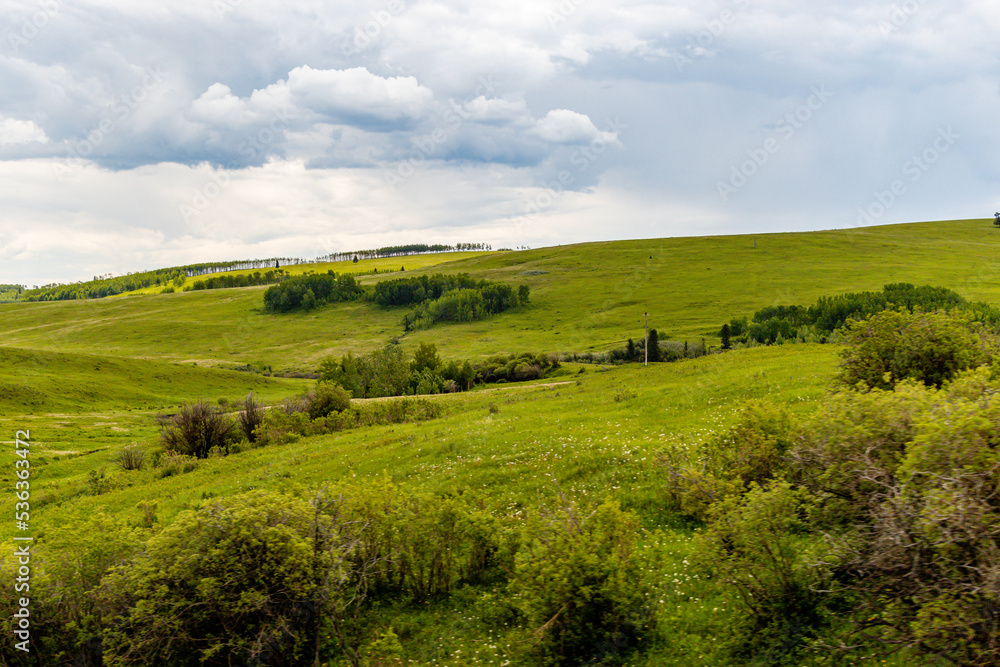 Green fields, ponds and over cast skies on a drive through the country. MD of Willow Creek, Alberta, Canada