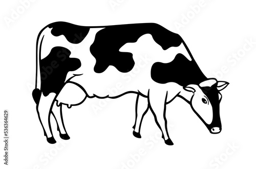 Vector black and white cow.