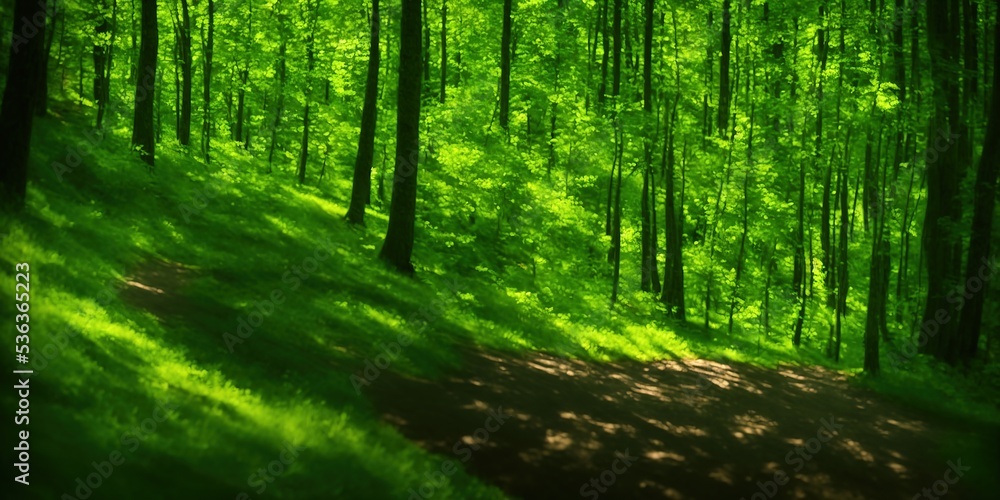 Beautiful woods photo taken in polish Bieszczady mountains during summer. Trail from Ustrzyki via Carynska Meadow to Brzegi, Bieszczadzki Park Narodowy. High quality Illustration - obrazy, fototapety, plakaty 