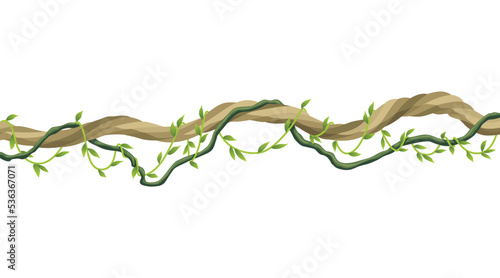 Lianas stem border. Rainforest green vine or twisted plant hanging on branch. Cartoon jungle creeper, leaves or moss on tree. Vector isolated game scenery element. Tropical nature plant