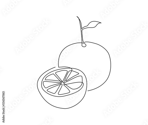 Continuous one line drawing of Orange Fruit. Orange fruit hand drawn single line art vector illustration.