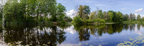 panorama with trees reflecting in the forest lake