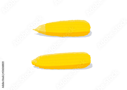 corn boiled fruit isolated on white background illustration vector 