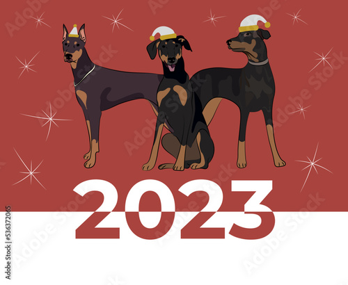 Medium-large breed Doberman, dog drawing. Cute dog characters in various poses, designs for prints, adorable and cute Christmas Dobermann cartoon vector set, in different poses. New year