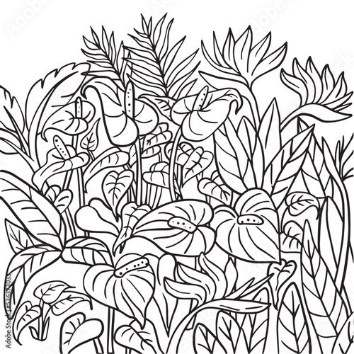 Tropical outlined vector illustration for coloring page and prints, black and white line drawing with bird of paradise, palms and peace lily flowers.