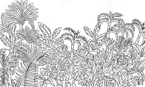 Tropical outlined vector illustration for coloring page and prints, black and white line drawing with palms, banana trees, bird of paradise and peace lily flowers.