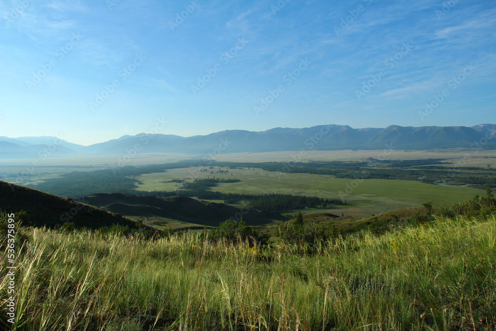 Top view from the mountain to the Kuraiskaya steppe with the river, trees in summer at dawn, in the foreground dense grass, in the background a mountain range, Kurai steppe, Chuisky ridge