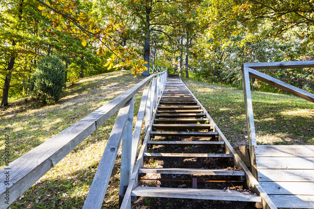 Wooden stairs going up on the hill and forest