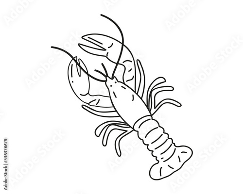 Doodle style Fresh red crayfish isolated on white background. Hand drawn or linear. Vector illustration